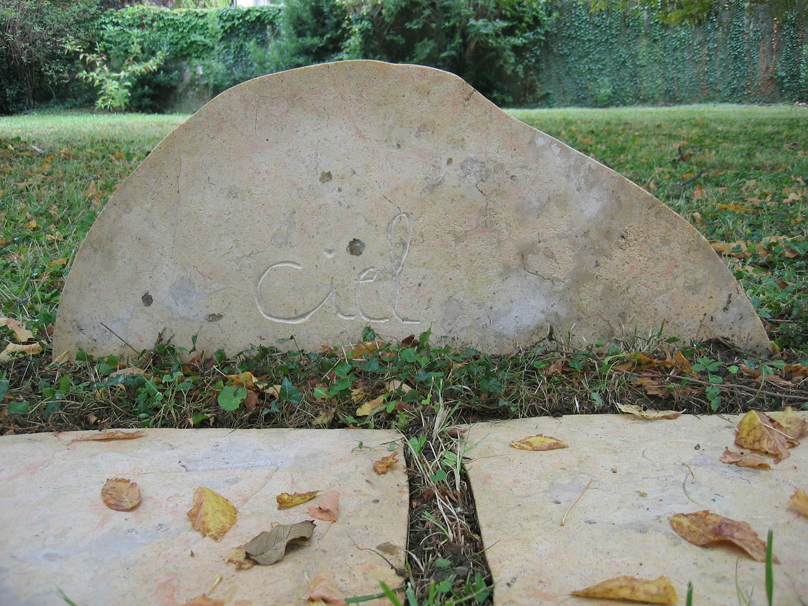 photo oeuvre