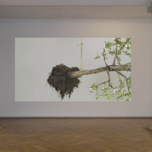 RUGGIRELLO_Jardins_egare
